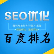 SEO快速排名的操作程序