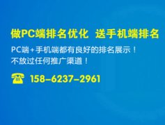 苏州网络推广之维持并提升网站排名的方法